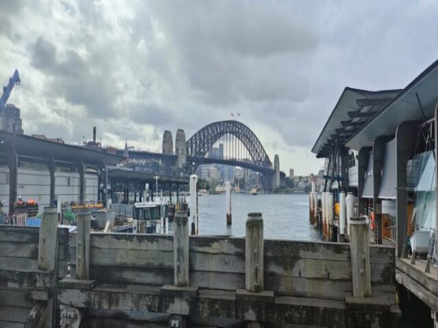 Sidney dzien 236 (331)