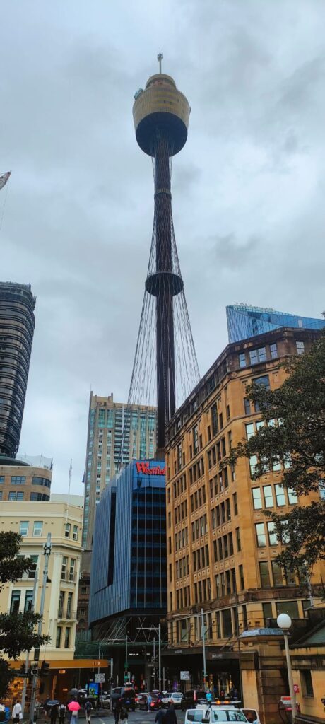 Sidney dzien 236 (514)