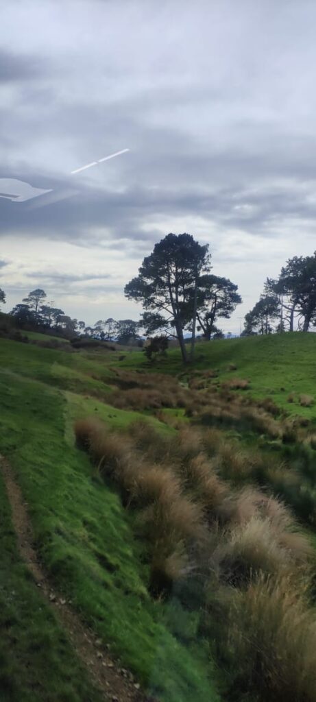 Hobbiton dzien 279 (109)