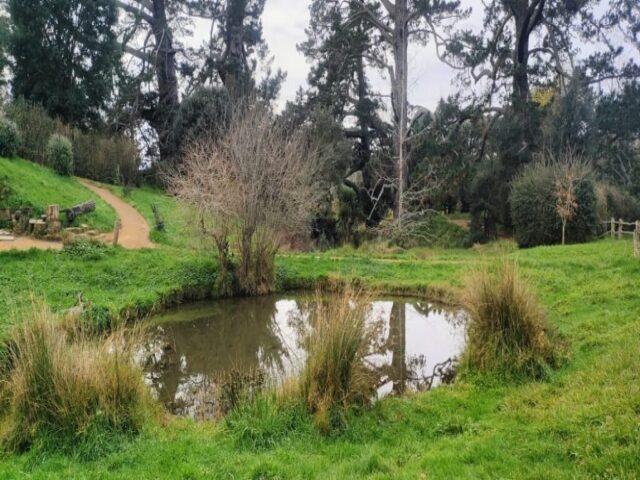 Hobbiton dzien 279 (112)