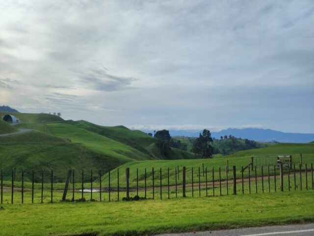 Hobbiton dzien 279 (128)