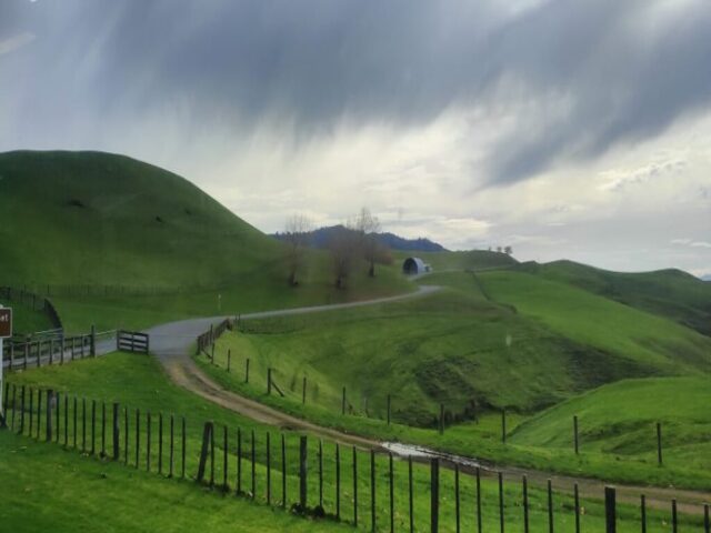 Hobbiton dzien 279 (132)