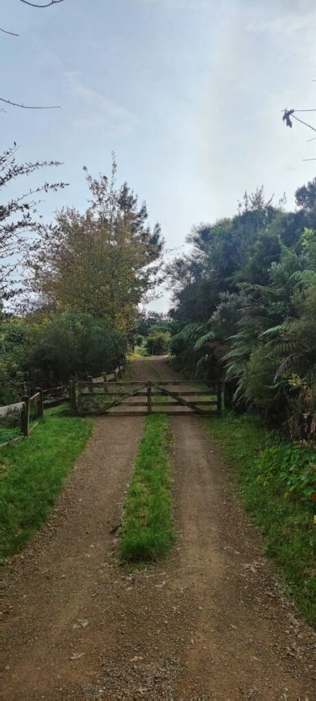 Hobbiton dzien 279 (133)