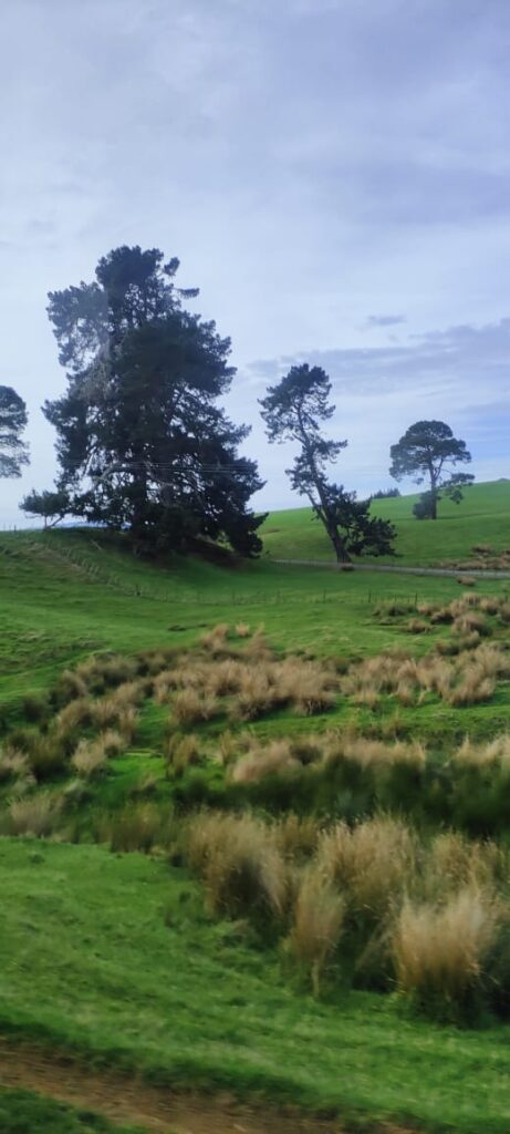 Hobbiton dzien 279 (149)