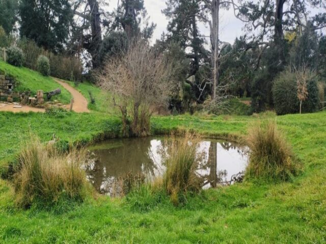Hobbiton dzien 279 (168)