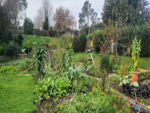 Hobbiton dzien 279 (225)