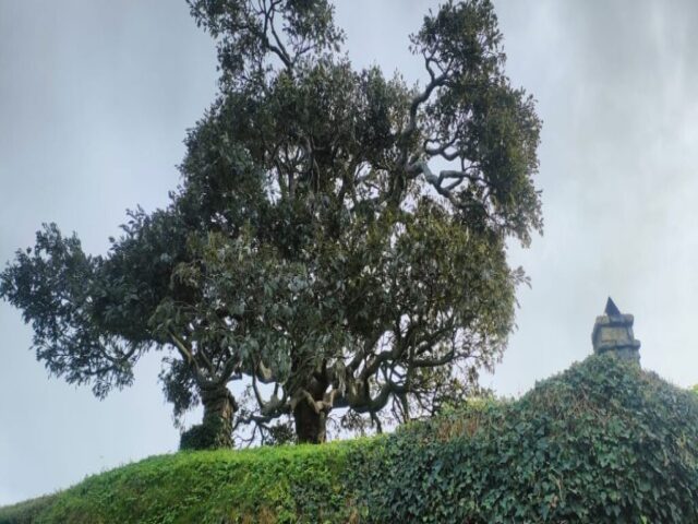 Hobbiton dzien 279 (238)