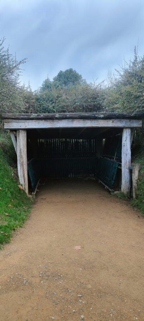 Hobbiton dzien 279 (316)