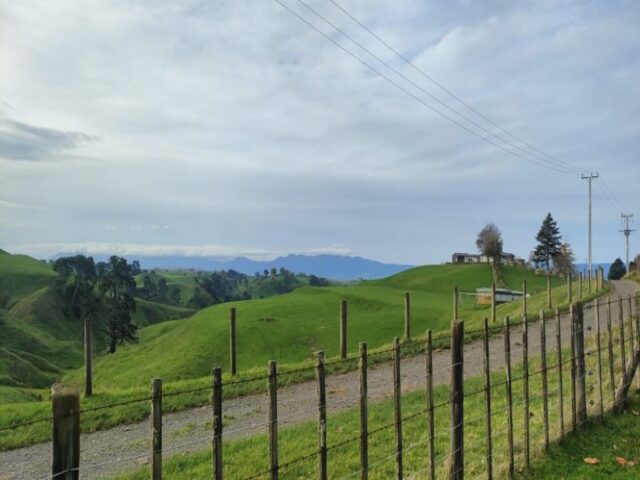 Hobbiton dzien 279 (346)