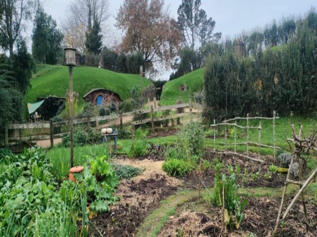 Hobbiton dzien 279 (353)