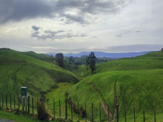 Hobbiton dzien 279 (354)