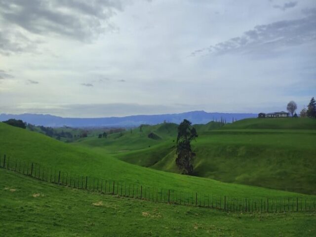 Hobbiton dzien 279 (440)