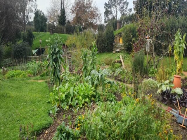 Hobbiton dzien 279 (76)
