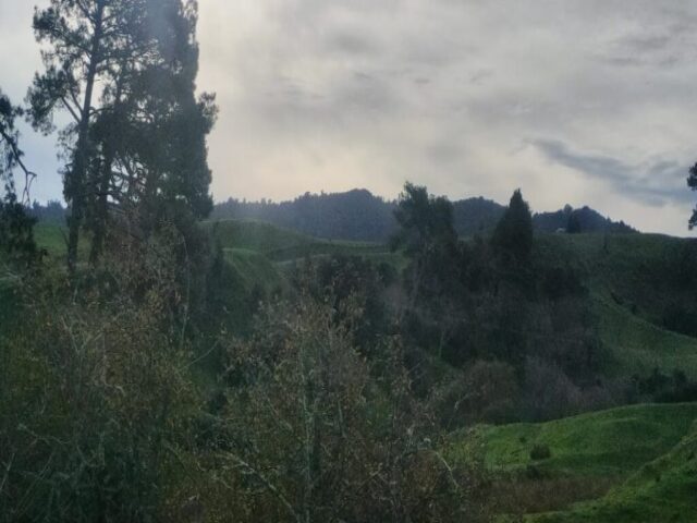 Hobbiton dzien 279 (9)