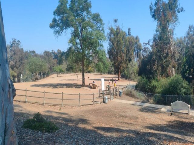 San Diego dzien 290 (105)