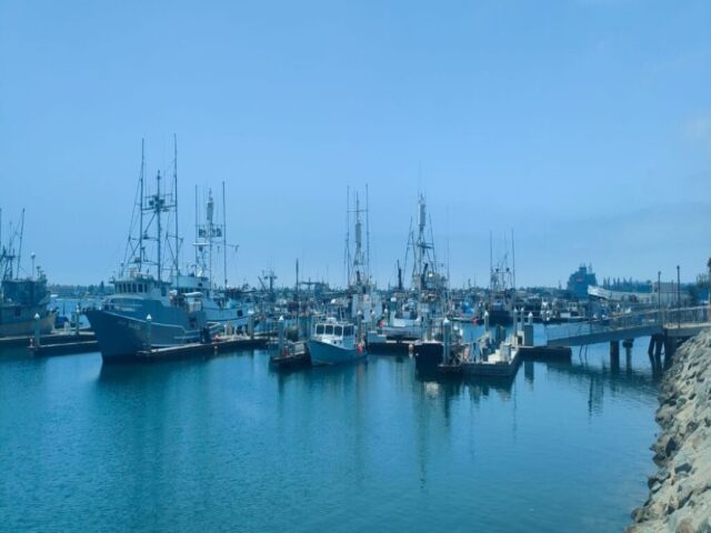 San Diego dzien 290 (134)