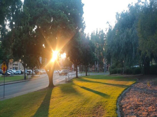 San Diego dzien 290 (15)