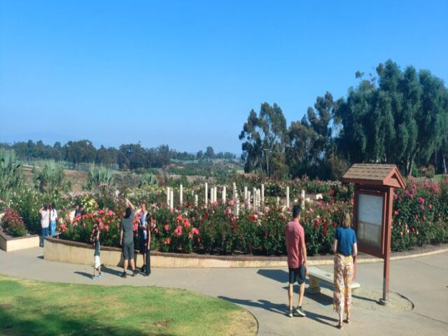 San Diego dzien 290 (68)