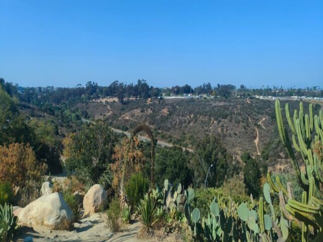 San Diego dzien 290 (71)