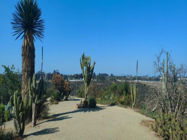 San Diego dzien 290 (74)