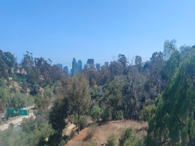 San Diego dzien 290 (97)