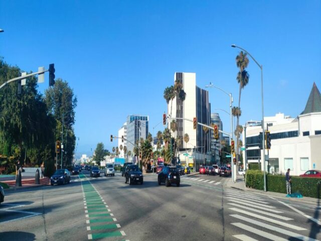 USA Los Angeles dzien 285 (152)
