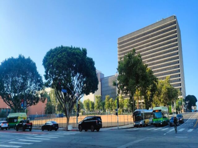 USA Los Angeles dzien 285 (27)