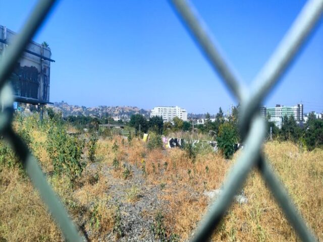 USA Los Angeles dzien 285 (52)