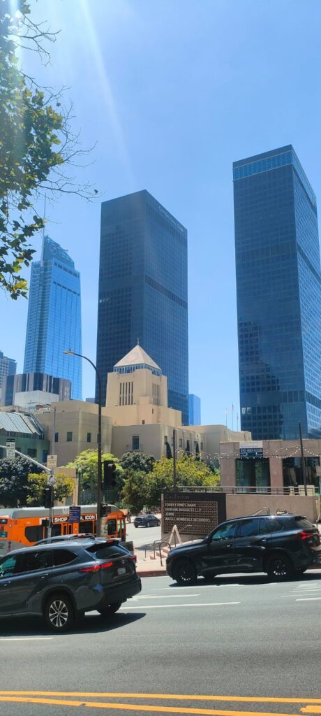 USA Los Angeles dzien 285 (82)
