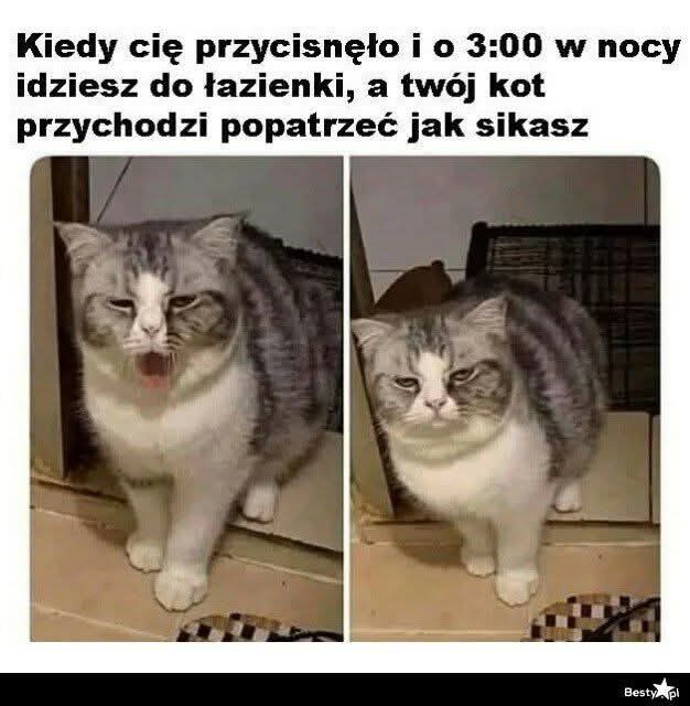 Meksyk dzien 317 (45)