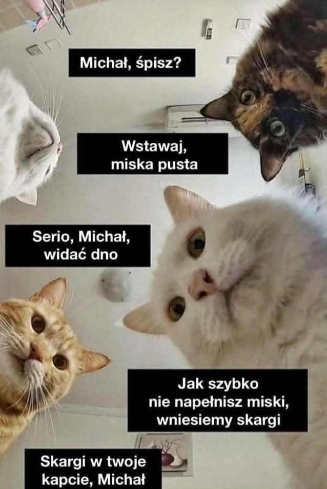 Meksyk dzien 336 (281)