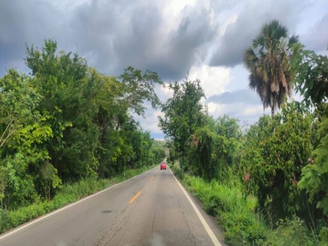 Nayarit dzien 325 (4)