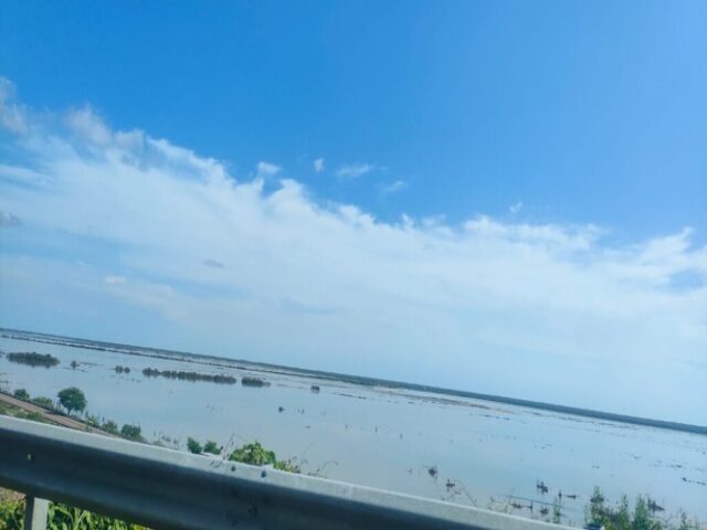 Nayarit dzien 325 (94)