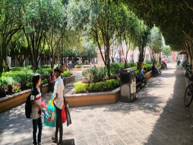 Queretaro dzien 340 (40)